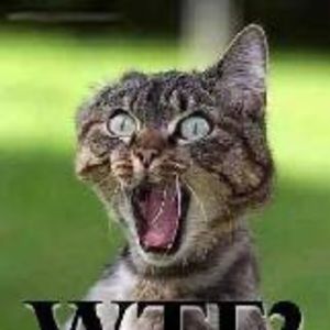 Meet your Posher, Harry